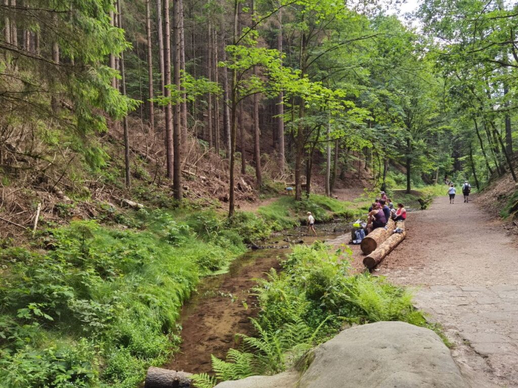 Unterhalb der Schwedenlöcher erreichst du den idyllischen Amselgrund