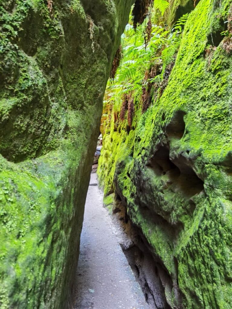 Der Schwedenlöcher Wanderweg verläuft auf einem magischen Wanderpfad