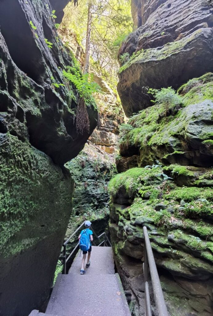 Die Schwedenlöcher Wanderung führt über Stufen zwischen den hohen Felsen