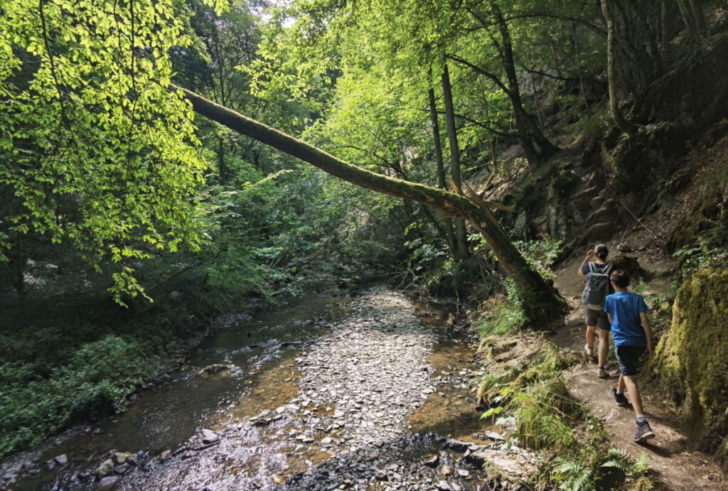 Wildromantische Schlucht im Hunsrück - die Baybachklamm