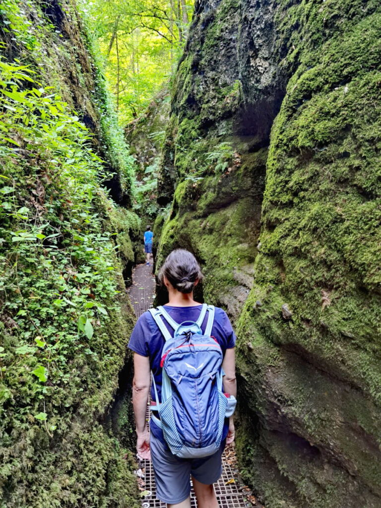 Schlucht Deutschland mit extrem viel Grün: Die Drachenschlucht in Eisenach