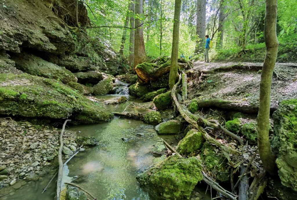 Die Masinger Schlucht in Bayern