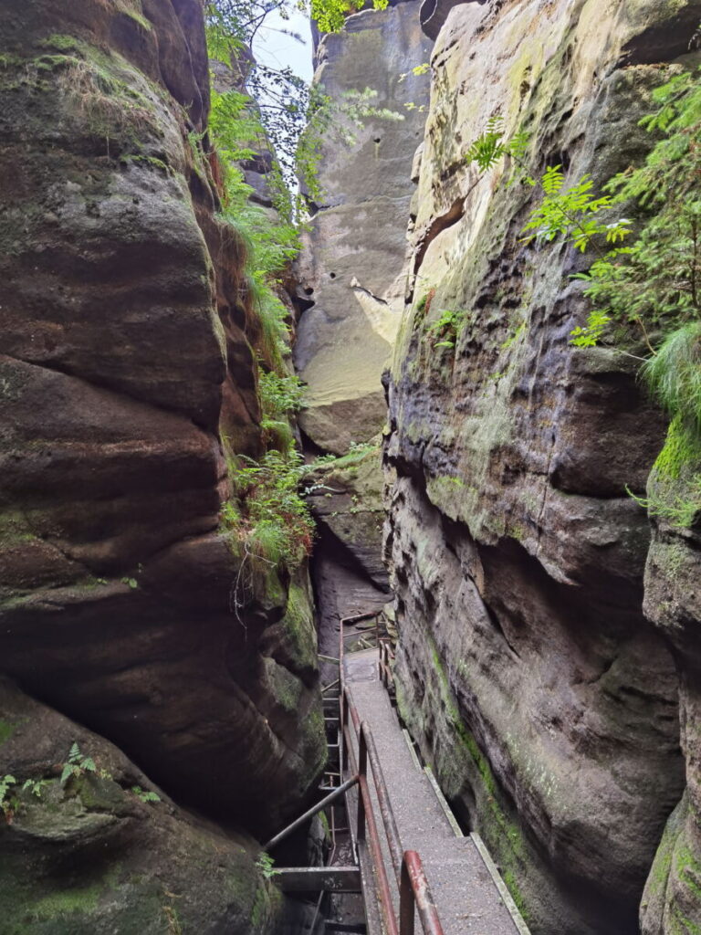 Malerweg Wanderung durch Felsschluchten