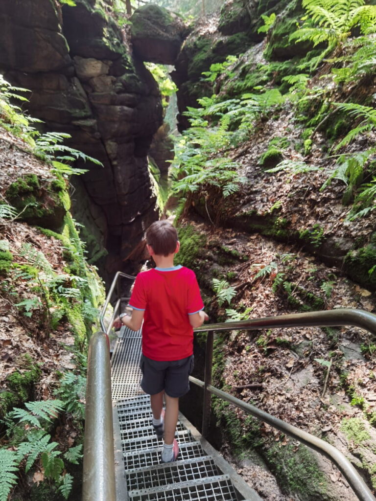 Die Teufelsschlucht im Uttewalder Grund